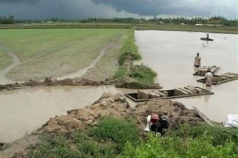 Bán đất mặt ruộng, phá đi sinh kế lâu dài. (24/5/2016)